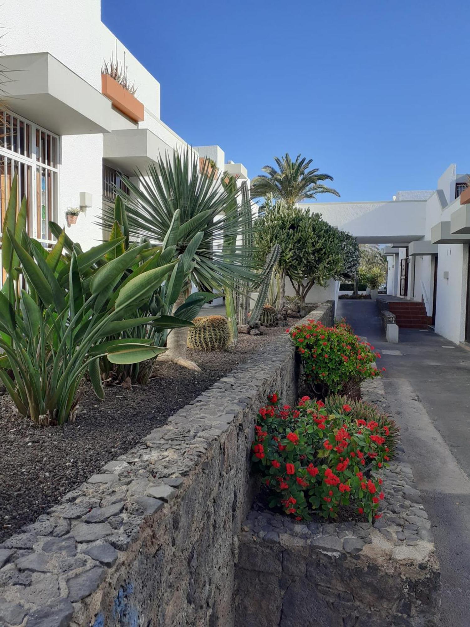 Precioso Apartamento Costa Del Silencio Exterior photo