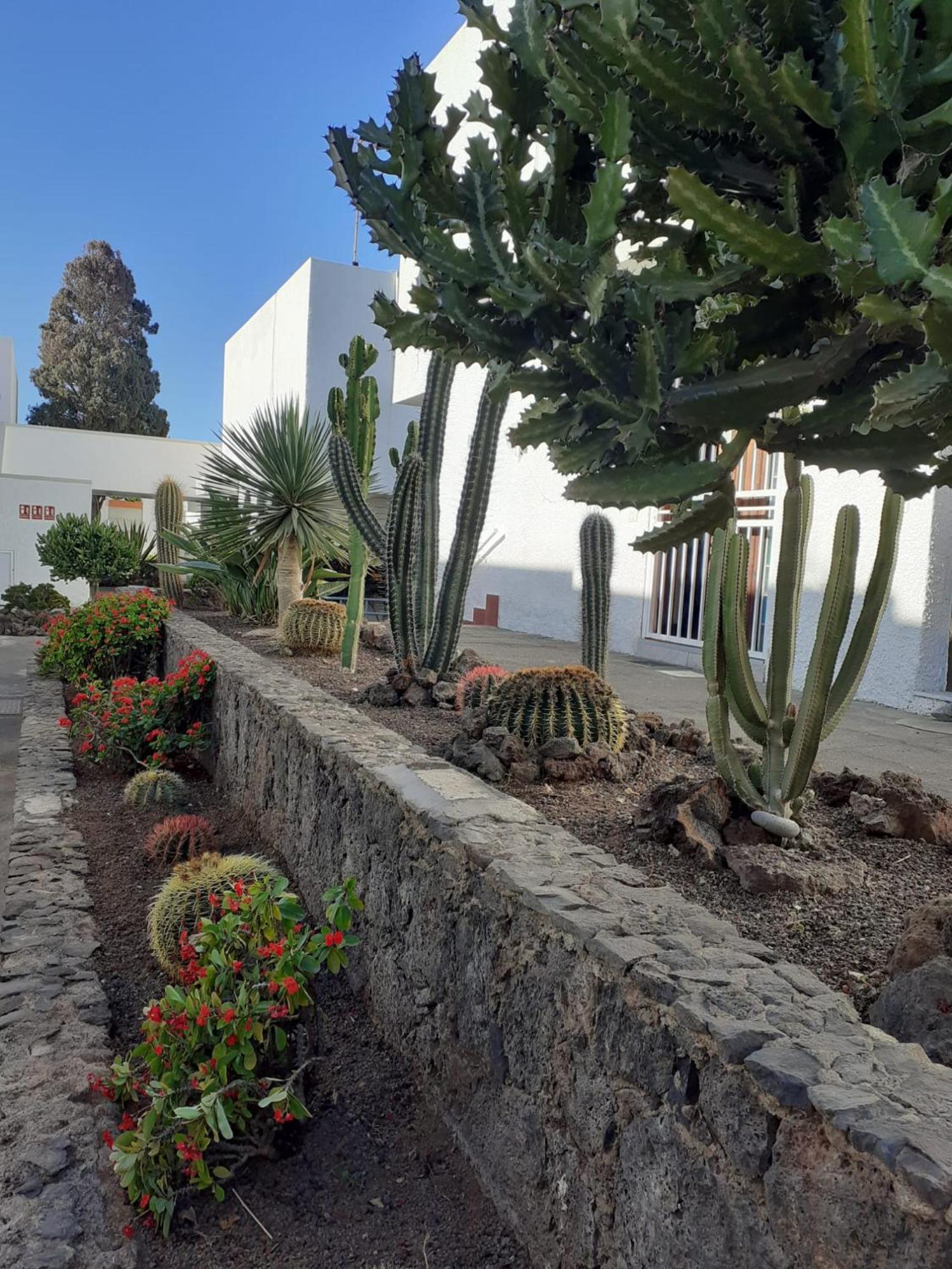 Precioso Apartamento Costa Del Silencio Exterior photo