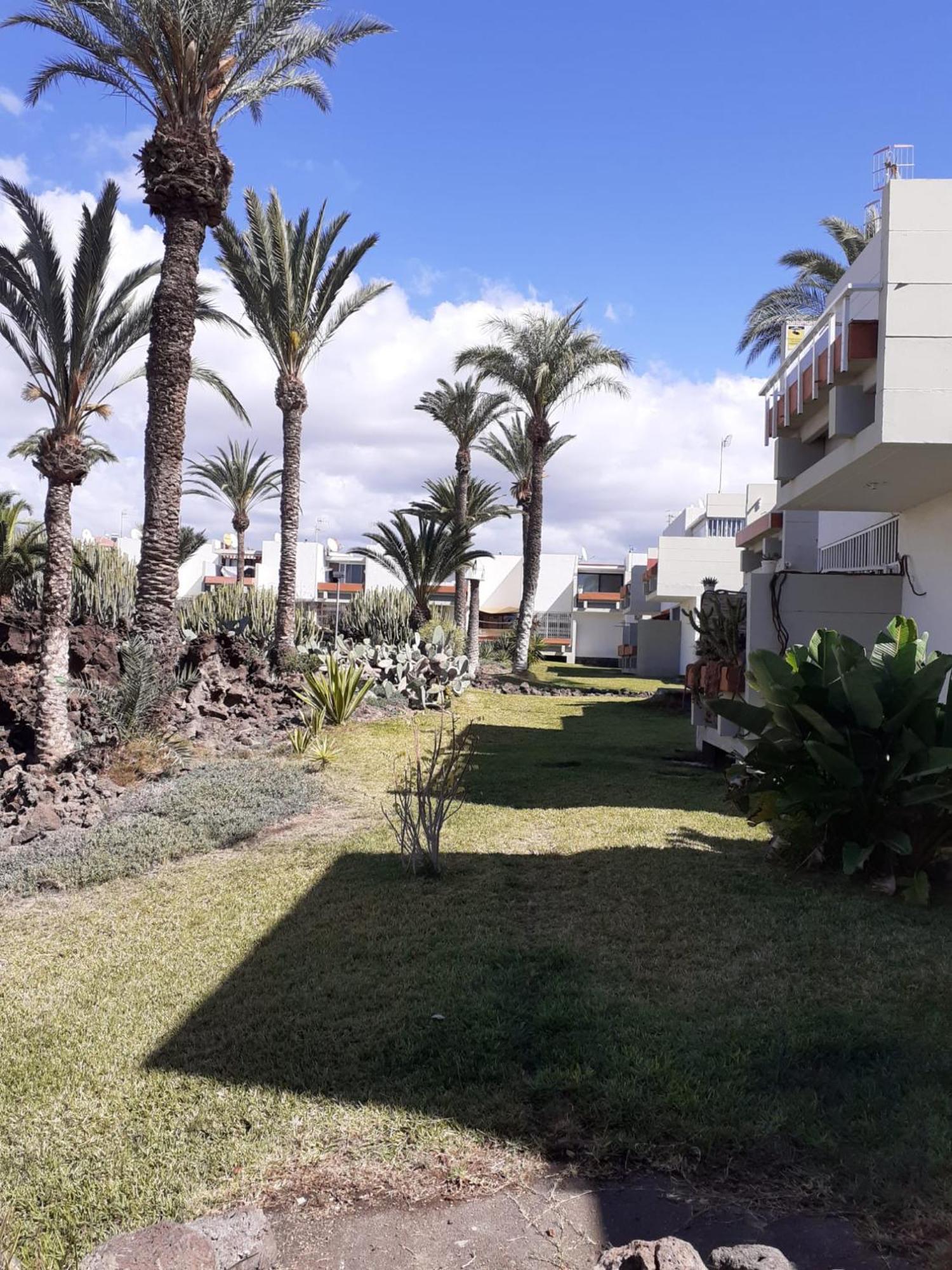 Precioso Apartamento Costa Del Silencio Exterior photo