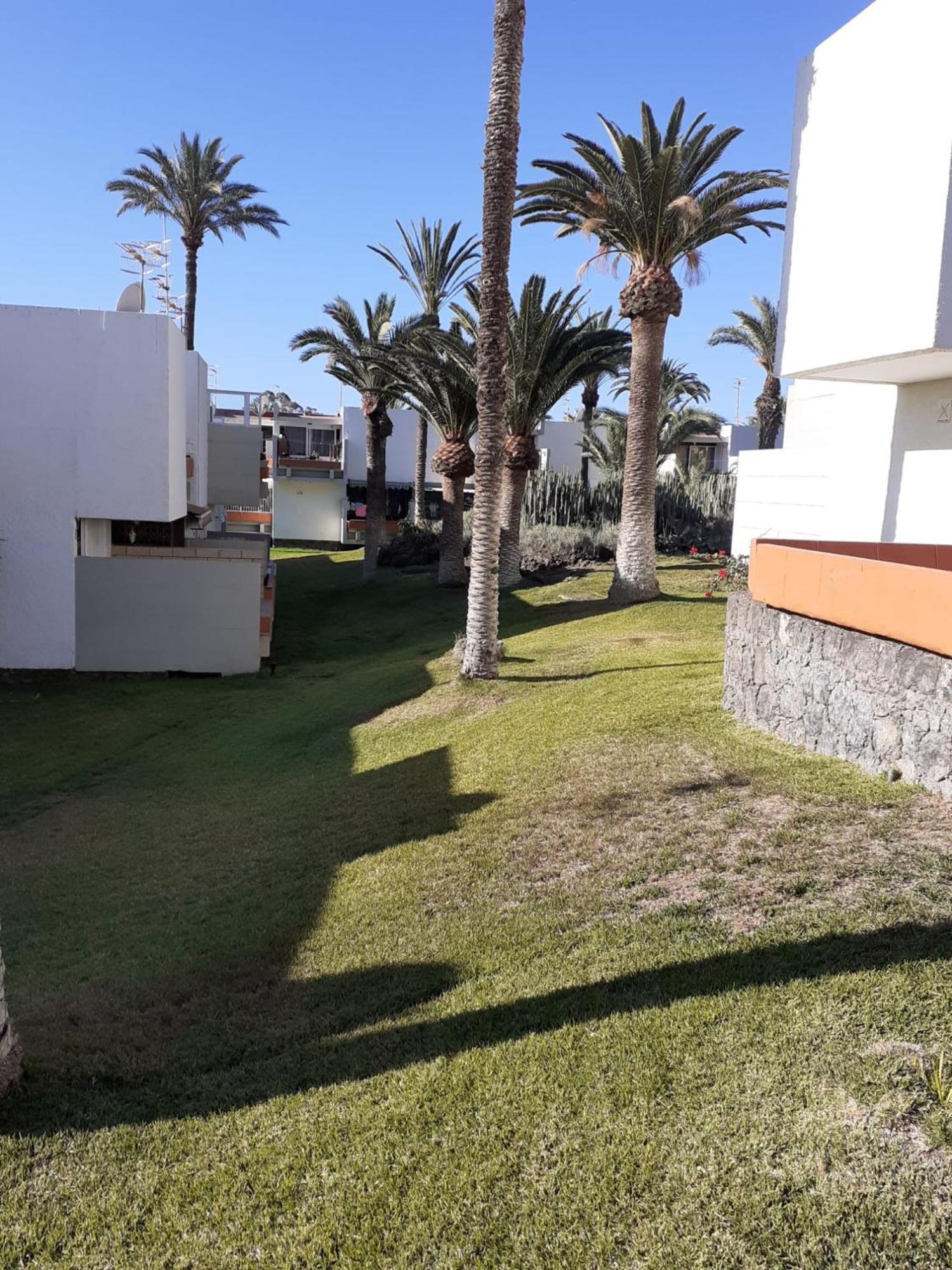 Precioso Apartamento Costa Del Silencio Exterior photo